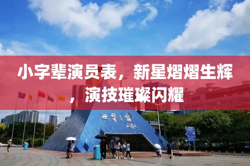 小字辈演员表，新星熠熠生辉，演技璀璨闪耀