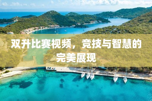 双升比赛视频，竞技与智慧的完美展现