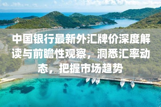 中国银行最新外汇牌价深度解读与前瞻性观察，洞悉汇率动态，把握市场趋势