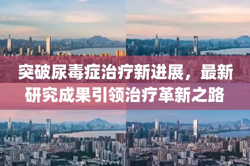 突破尿毒症治疗新进展，最新研究成果引领治疗革新之路