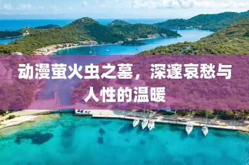 动漫萤火虫之墓，深邃哀愁与人性的温暖
