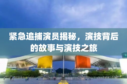 紧急追捕演员揭秘，演技背后的故事与演技之旅