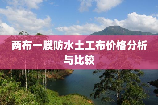 两布一膜防水土工布价格分析与比较