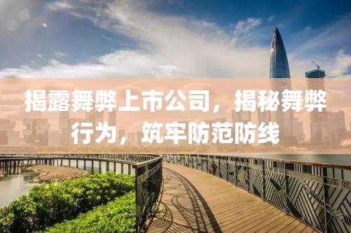 揭露舞弊上市公司，揭秘舞弊行为，筑牢防范防线