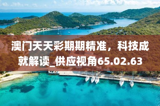 澳门天天彩期期精准，科技成就解读_供应视角65.02.63