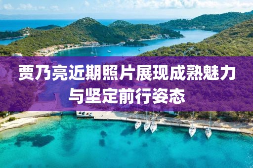 贾乃亮近期照片展现成熟魅力与坚定前行姿态