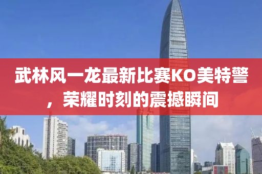 武林风一龙最新比赛KO美特警，荣耀时刻的震撼瞬间