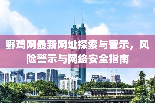 野鸡网最新网址探索与警示，风险警示与网络安全指南