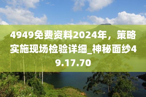 4949免费资料2024年，策略实施现场检验详细_神秘面纱49.17.70