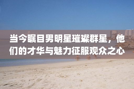 当今瞩目男明星璀璨群星，他们的才华与魅力征服观众之心