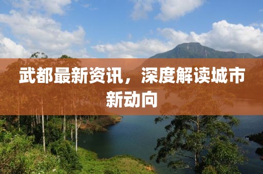 武都最新资讯，深度解读城市新动向
