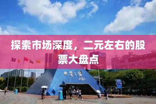 探索市场深度，二元左右的股票大盘点