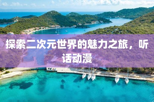 探索二次元世界的魅力之旅，听话动漫