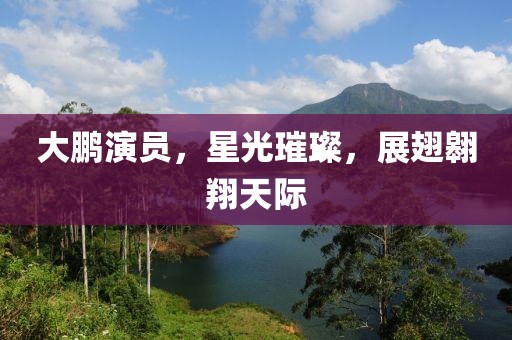 大鹏演员，星光璀璨，展翅翱翔天际