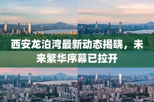 西安龙泊湾最新动态揭晓，未来繁华序幕已拉开