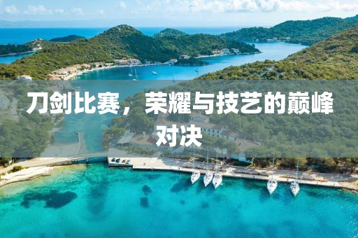 刀剑比赛，荣耀与技艺的巅峰对决