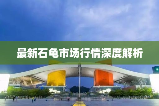 最新石龟市场行情深度解析