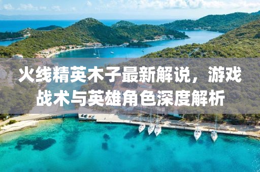 火线精英木子最新解说，游戏战术与英雄角色深度解析