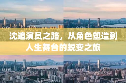 沈追演员之路，从角色塑造到人生舞台的蜕变之旅