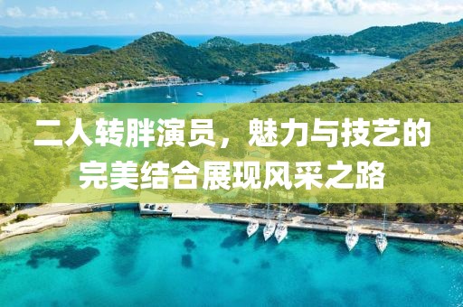 二人转胖演员，魅力与技艺的完美结合展现风采之路