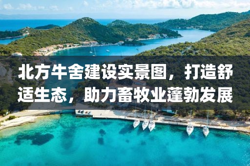 沁晚离殇 第6页