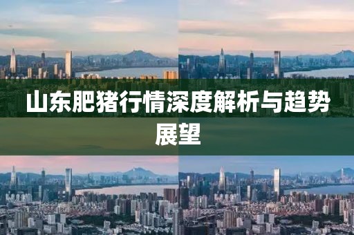 山东肥猪行情深度解析与趋势展望