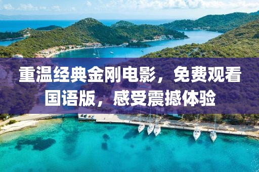重温经典金刚电影，免费观看国语版，感受震撼体验