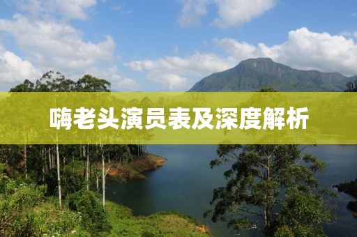 嗨老头演员表及深度解析