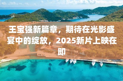 王宝强新篇章，期待在光影盛宴中的绽放，2025新片上映在即