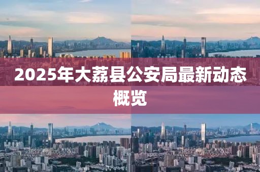 2025年大荔县公安局最新动态概览