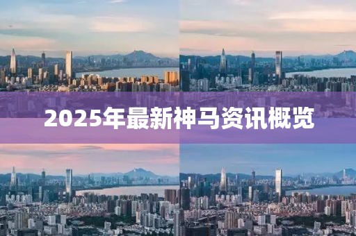 2025年最新神马资讯概览
