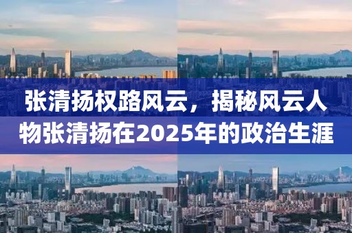 张清扬权路风云，揭秘风云人物张清扬在2025年的政治生涯