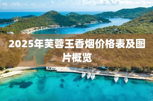 2025年芙蓉王香烟价格表及图片概览