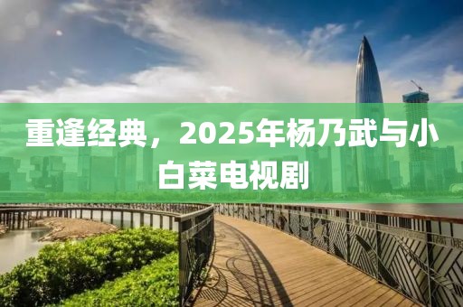 重逢经典，2025年杨乃武与小白菜电视剧