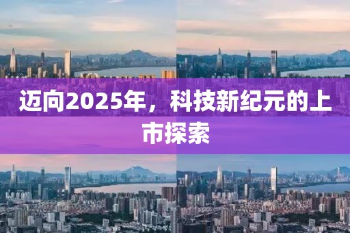 迈向2025年，科技新纪元的上市探索