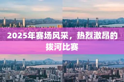 2025年赛场风采，热烈激昂的拨河比赛