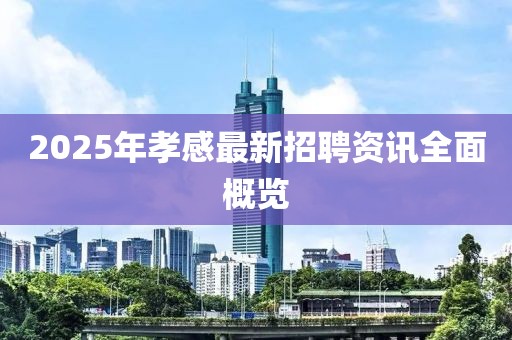 2025年孝感最新招聘资讯全面概览