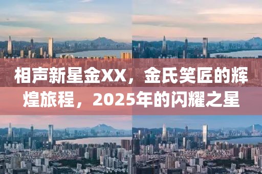 相声新星金XX，金氏笑匠的辉煌旅程，2025年的闪耀之星