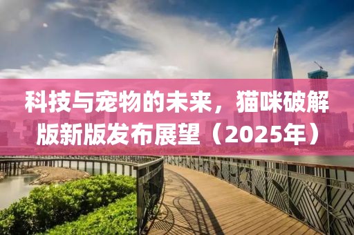 科技与宠物的未来，猫咪破解版新版发布展望（2025年）