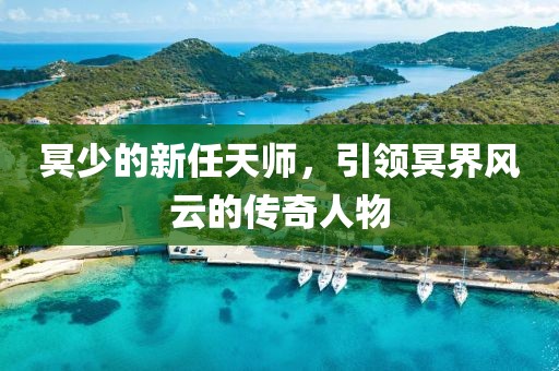 冥少的新任天师，引领冥界风云的传奇人物