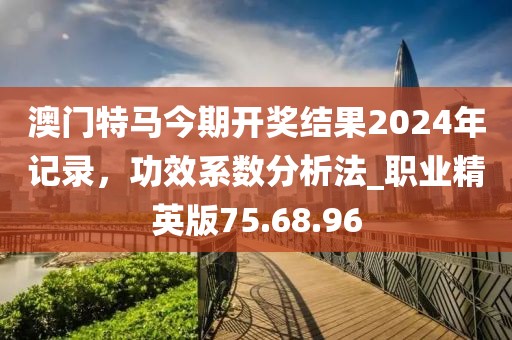 澳门特马今期开奖结果2024年记录，功效系数分析法_职业精英版75.68.96