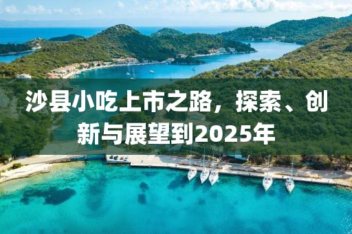 沙县小吃上市之路，探索、创新与展望到2025年