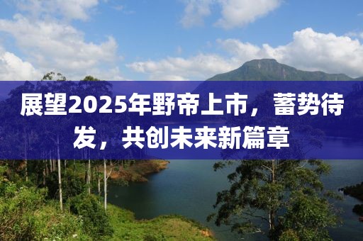 展望2025年野帝上市，蓄势待发，共创未来新篇章