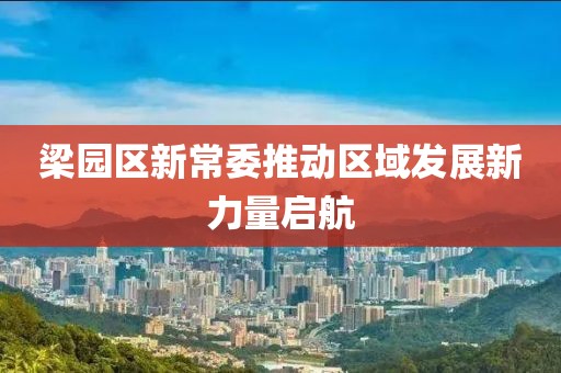 梁园区新常委推动区域发展新力量启航