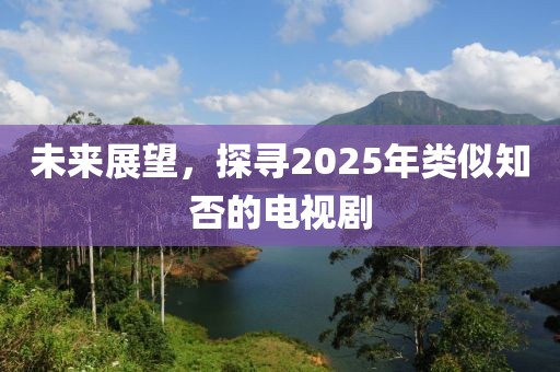 未来展望，探寻2025年类似知否的电视剧