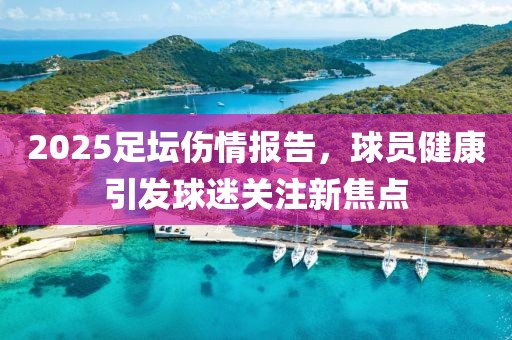 2025足坛伤情报告，球员健康引发球迷关注新焦点