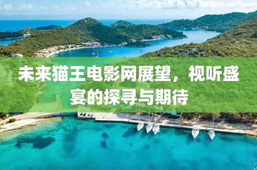 未来猫王电影网展望，视听盛宴的探寻与期待