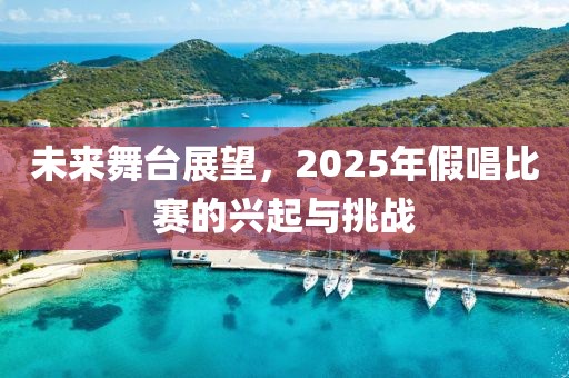未来舞台展望，2025年假唱比赛的兴起与挑战