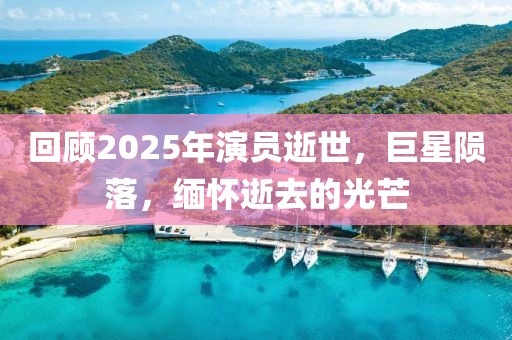 回顾2025年演员逝世，巨星陨落，缅怀逝去的光芒