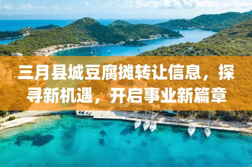 三月县城豆腐摊转让信息，探寻新机遇，开启事业新篇章